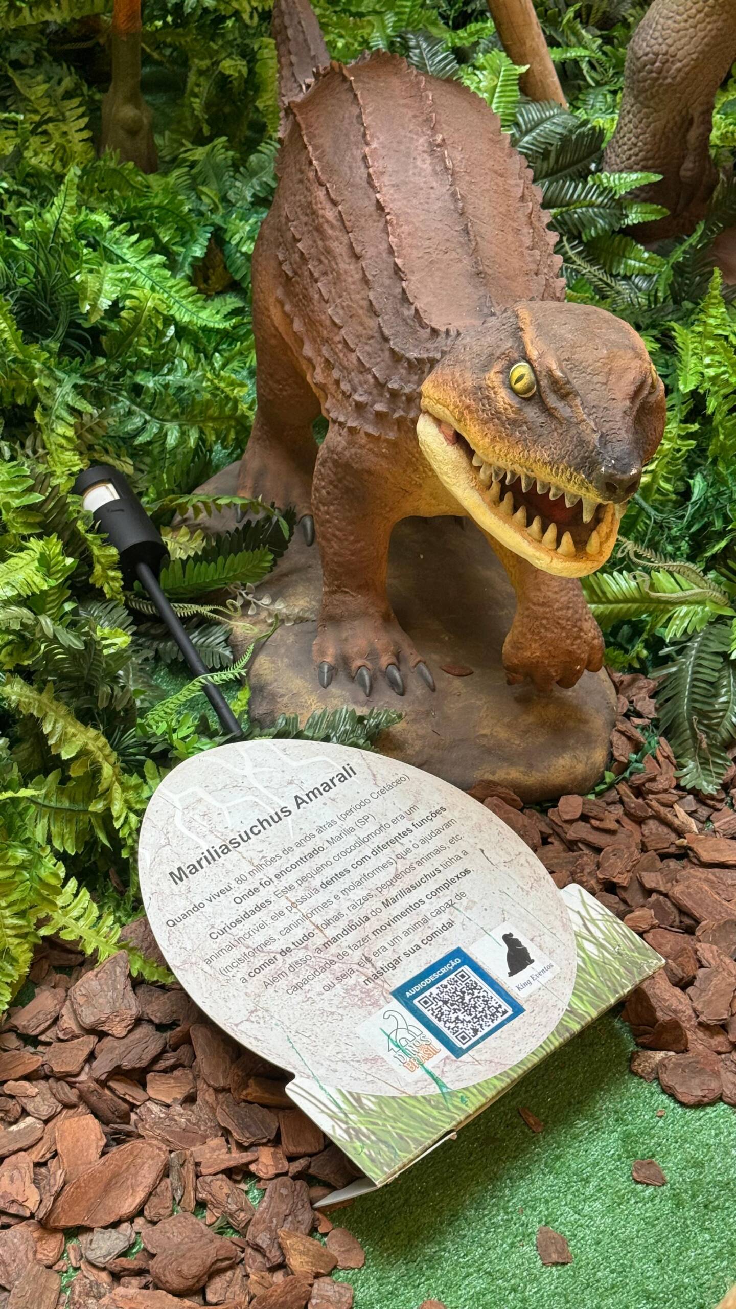 Dinossauros brasileiros ganham exposição gratuita no Shopping Praça da Moça