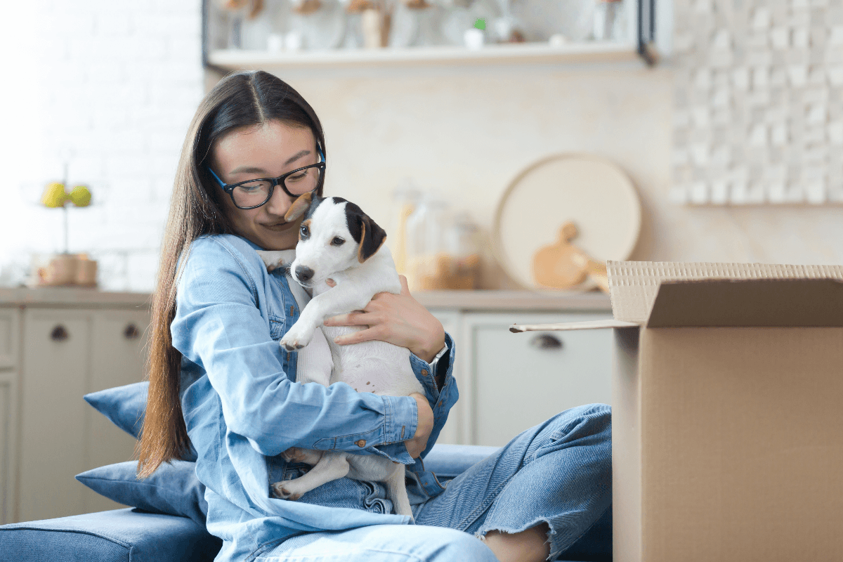 Veja como preparar a casa e a rotina ao adotar um animal de estimação