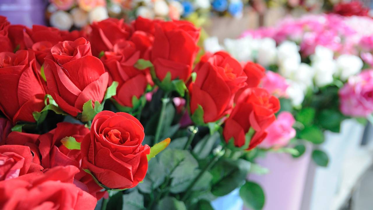 As 5 plantas mais românticas para presentear no dia dos namorados e o significado por trás de cada uma delas vai te surpreender imagem 1781286335 o2myx2