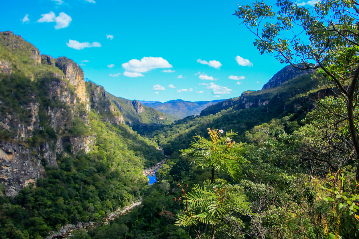 Dormir dentro da Chapada dos Veadeiros volta a ser permitido imagem 1781547302 jwcvsz
