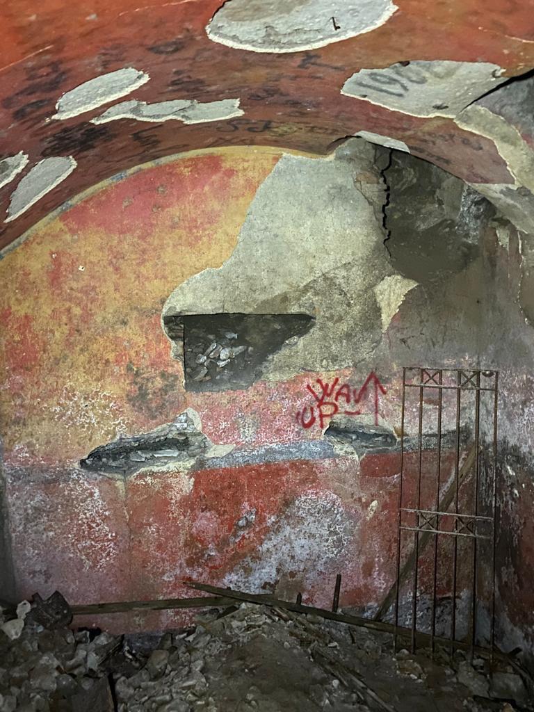 Nos quartos subterrâneos do ginásio masculino do Liceo Cavour, foram descobertos acidentalmente restos da porção de uma grande domus do período médio imperial, com pinturas intactas e estuques figurados até as abóbadas, em excelente estado de conservação.