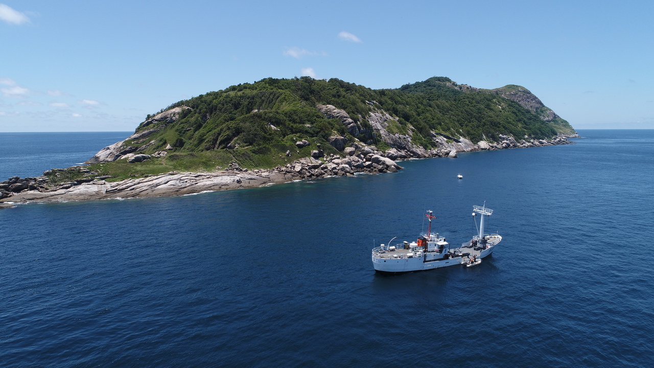 A Ilha das Cobras, no litoral brasileiro, guarda um dos maiores mistérios da natureza