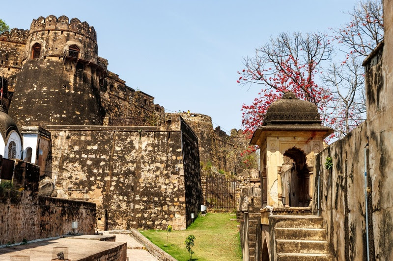 Turismo do sono ganha espaço e movimenta mercado bilionário O retiro em Jhansi combina ioga, meditação e massagens ayurvédicas, a poucas horas de Déli