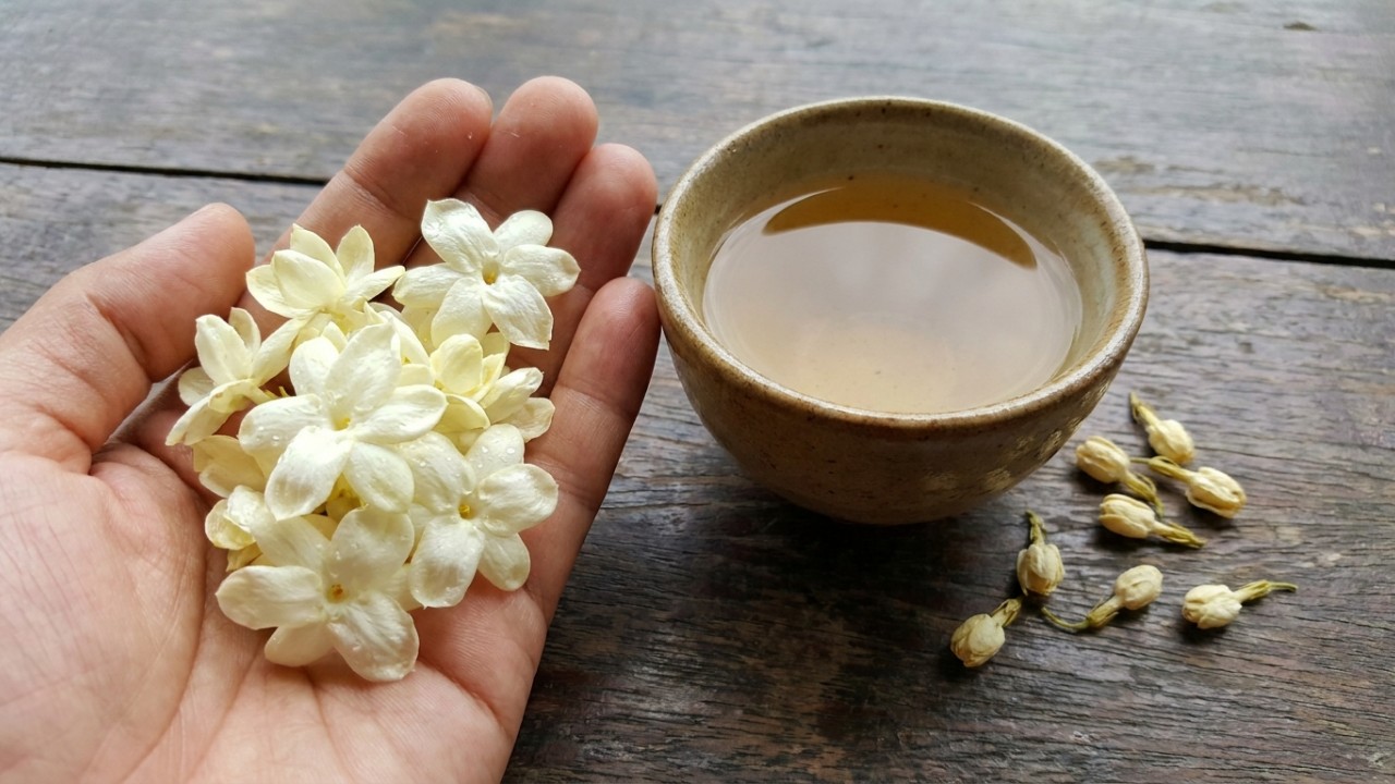 A planta japonesa que perfuma todo o jardim da casa e cresce perfeitamente em sombra parcial Esta espécie ornamental é a escolha ideal para ornamentar quintais e varandas com elegância natural. – Imagem gerada por IA